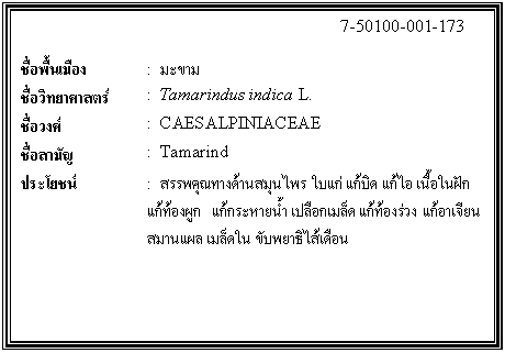 กล่องข้อความ: 7-50100-001-173 ชื่อพื้นเมือง : มะขาม ชื่อวิทยาศาสตร์ : Tamarindus indica L. ชื่อวงศ์ : CAESALPINIACEAE ชื่อสามัญ : Tamarind ประโยชน์ : สรรพคุณทางด้านสมุนไพร ใบแก่ แก้บิด แก้ไอ เนื้อในฝัก แก้ท้องผูก แก้กระหายน้ำ เปลือกเมล็ด แก้ท้องร่วง แก้อาเจียน สมานแผล เมล็ดใน ขับพยาธิไส้เดือน